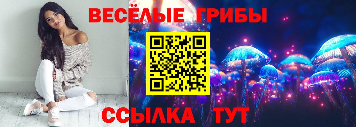 Псилоцибиновые грибы ЛСД  Вход с VPN  Кольчугино 